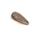 cekirdek-5
