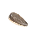 cekirdek-6