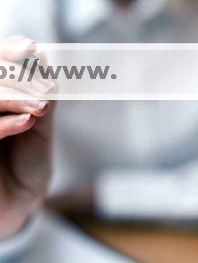 sunflower-seed-factory-website